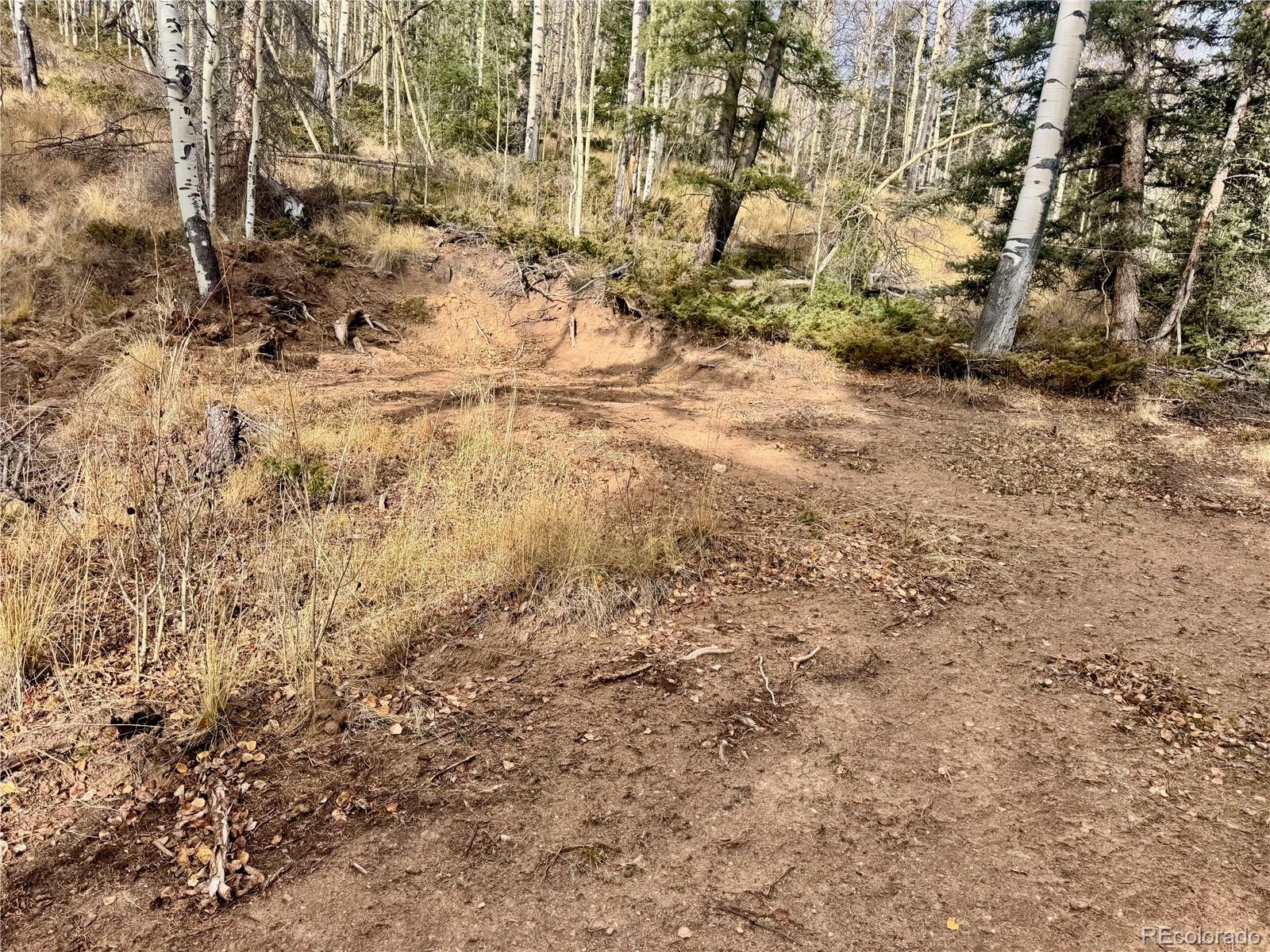 Ryland Road San Luis CO 81152