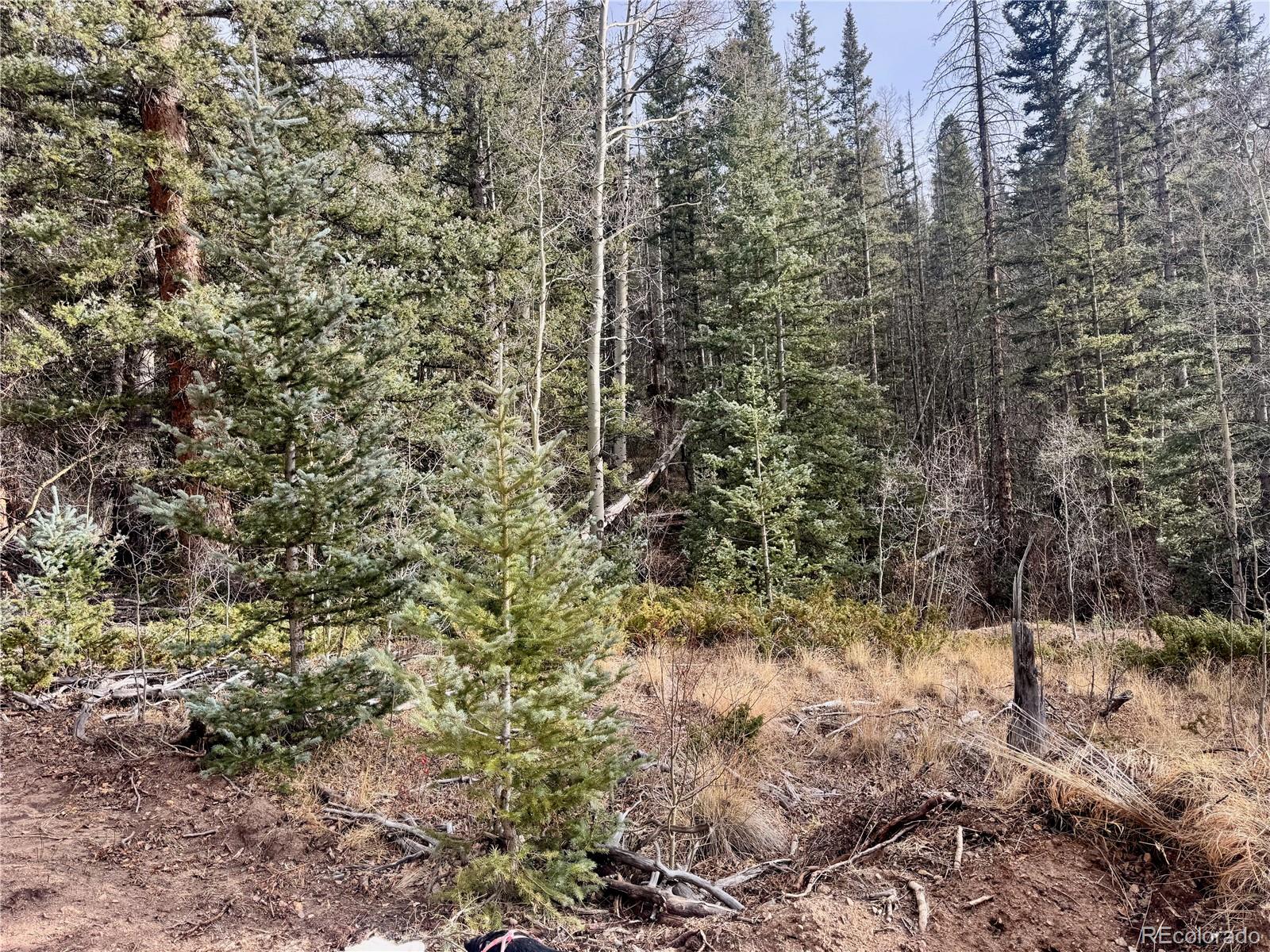 Ryland Road San Luis CO 81152