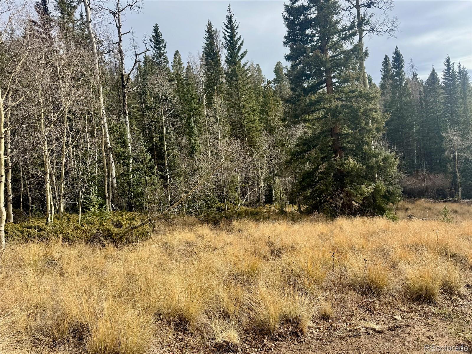 Ryland Road San Luis CO 81152