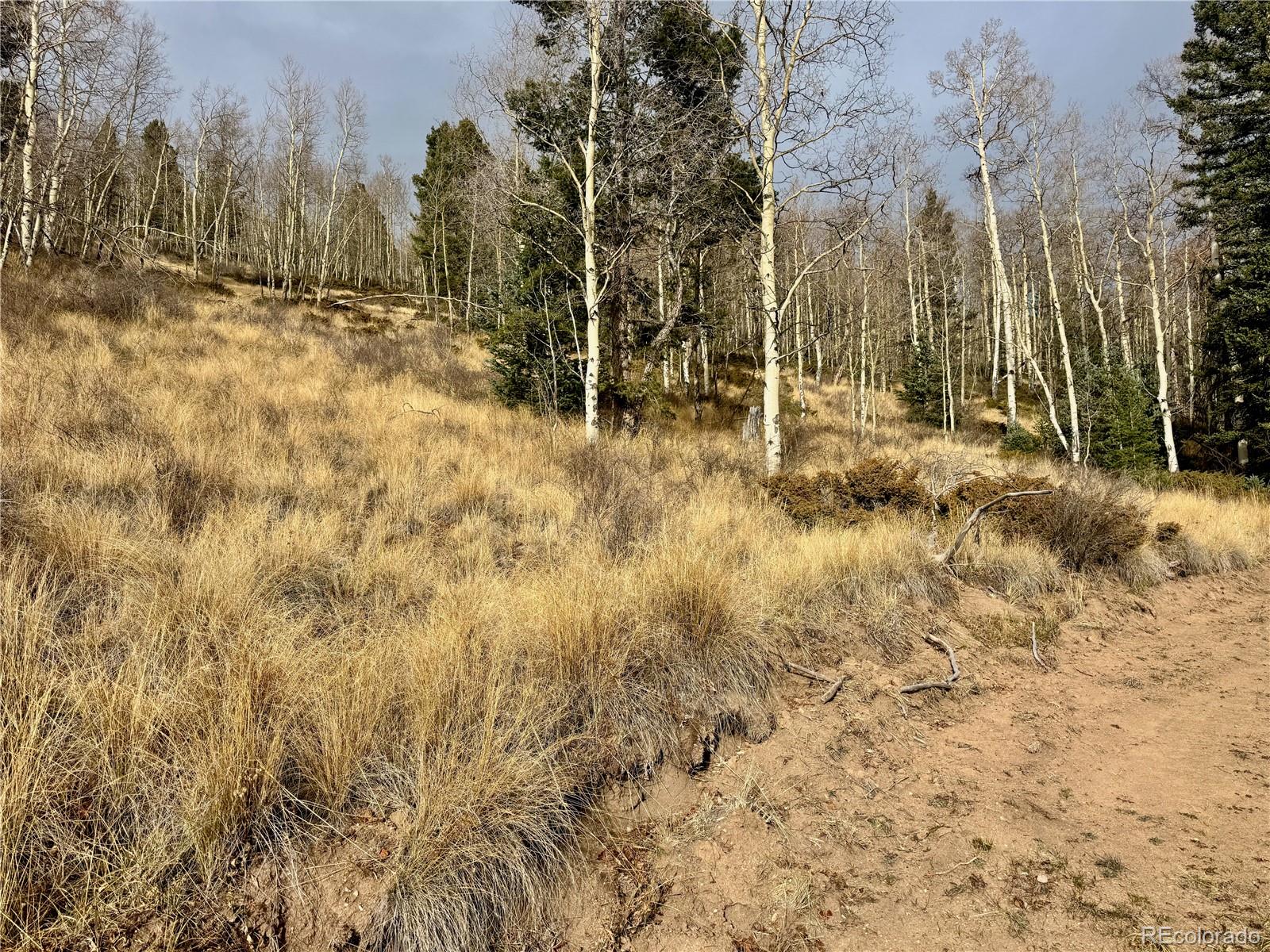 Ryland Road San Luis CO 81152