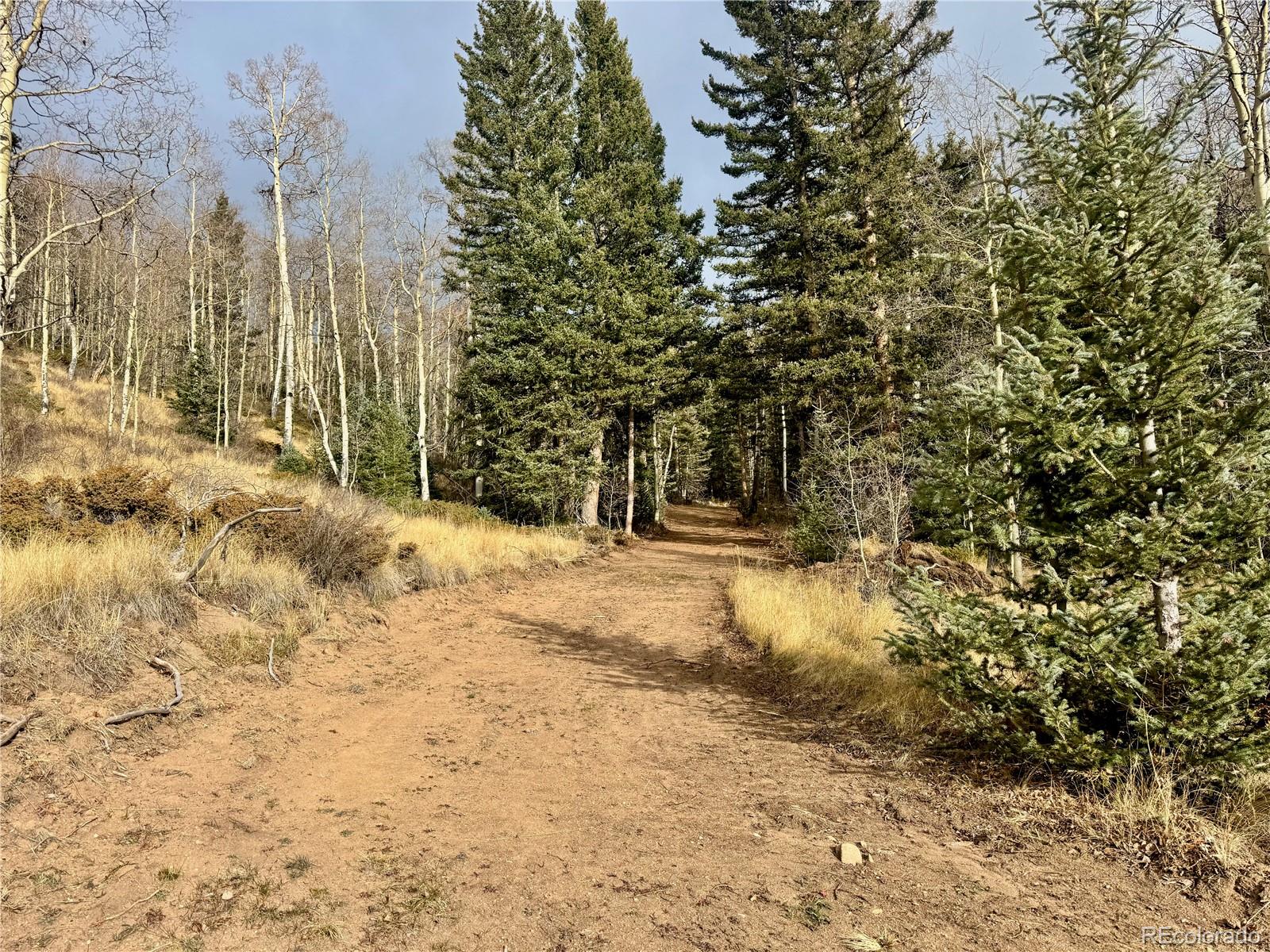 Ryland Road San Luis CO 81152
