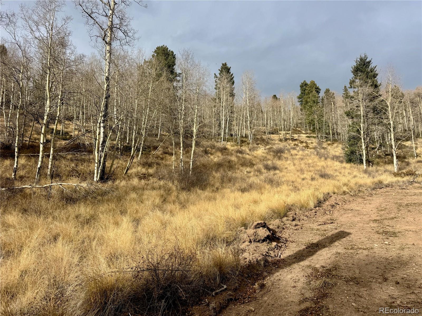 Ryland Road San Luis CO 81152