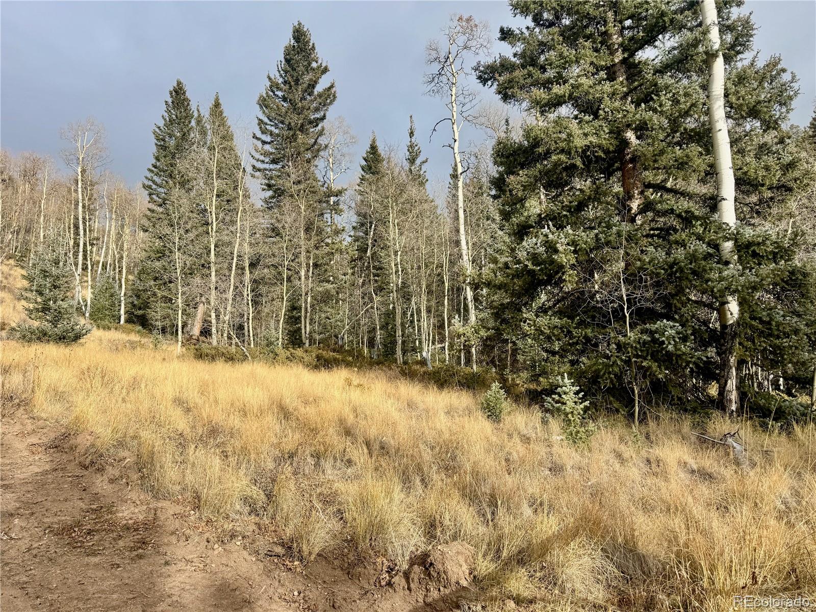 Ryland Road San Luis CO 81152