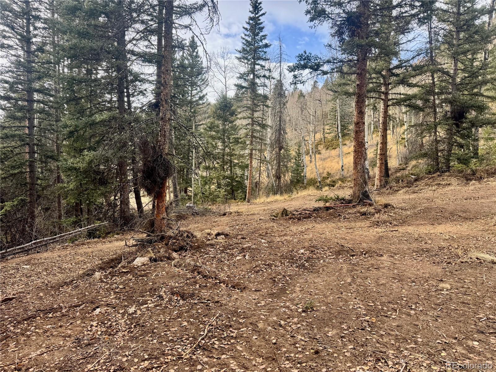 Ryland Road San Luis CO 81152