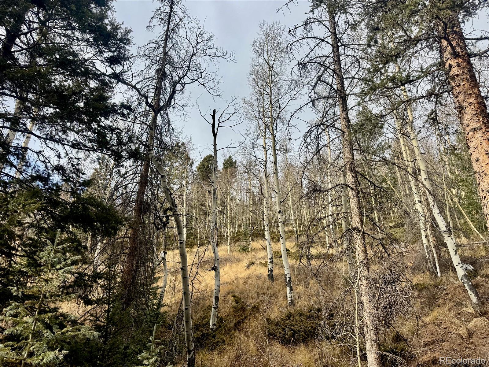 Ryland Road San Luis CO 81152