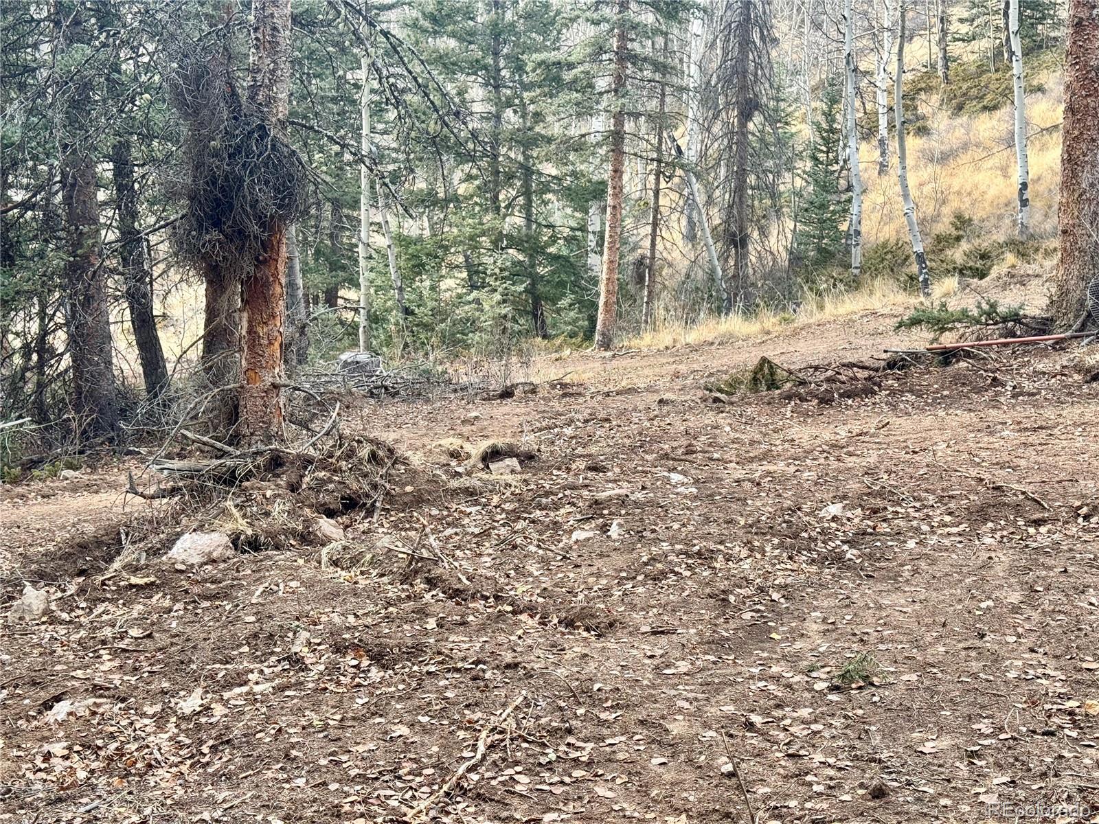 Ryland Road San Luis CO 81152