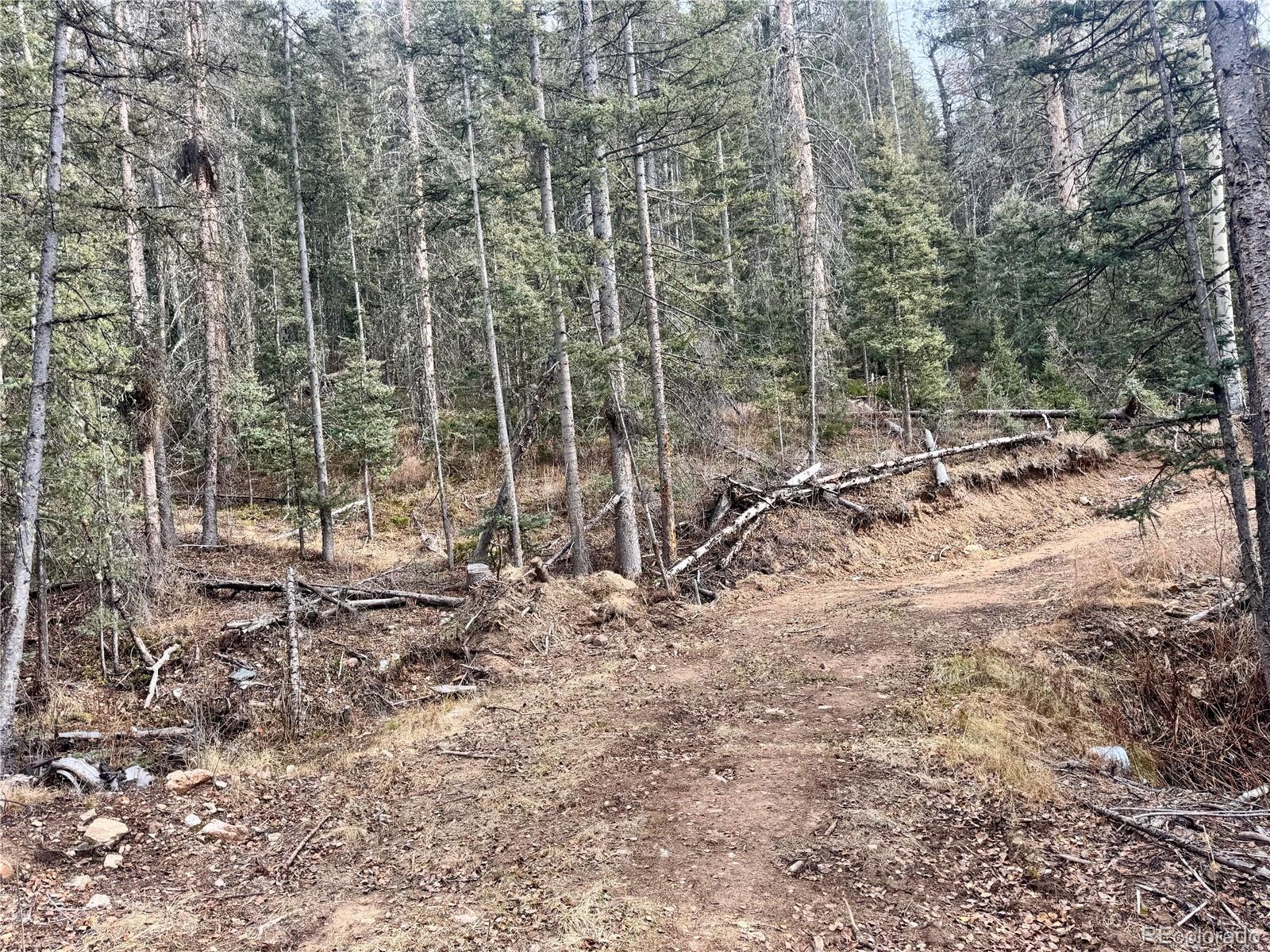 Ryland Road San Luis CO 81152