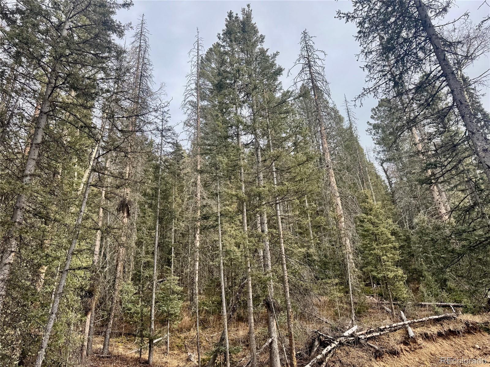 Ryland Road San Luis CO 81152