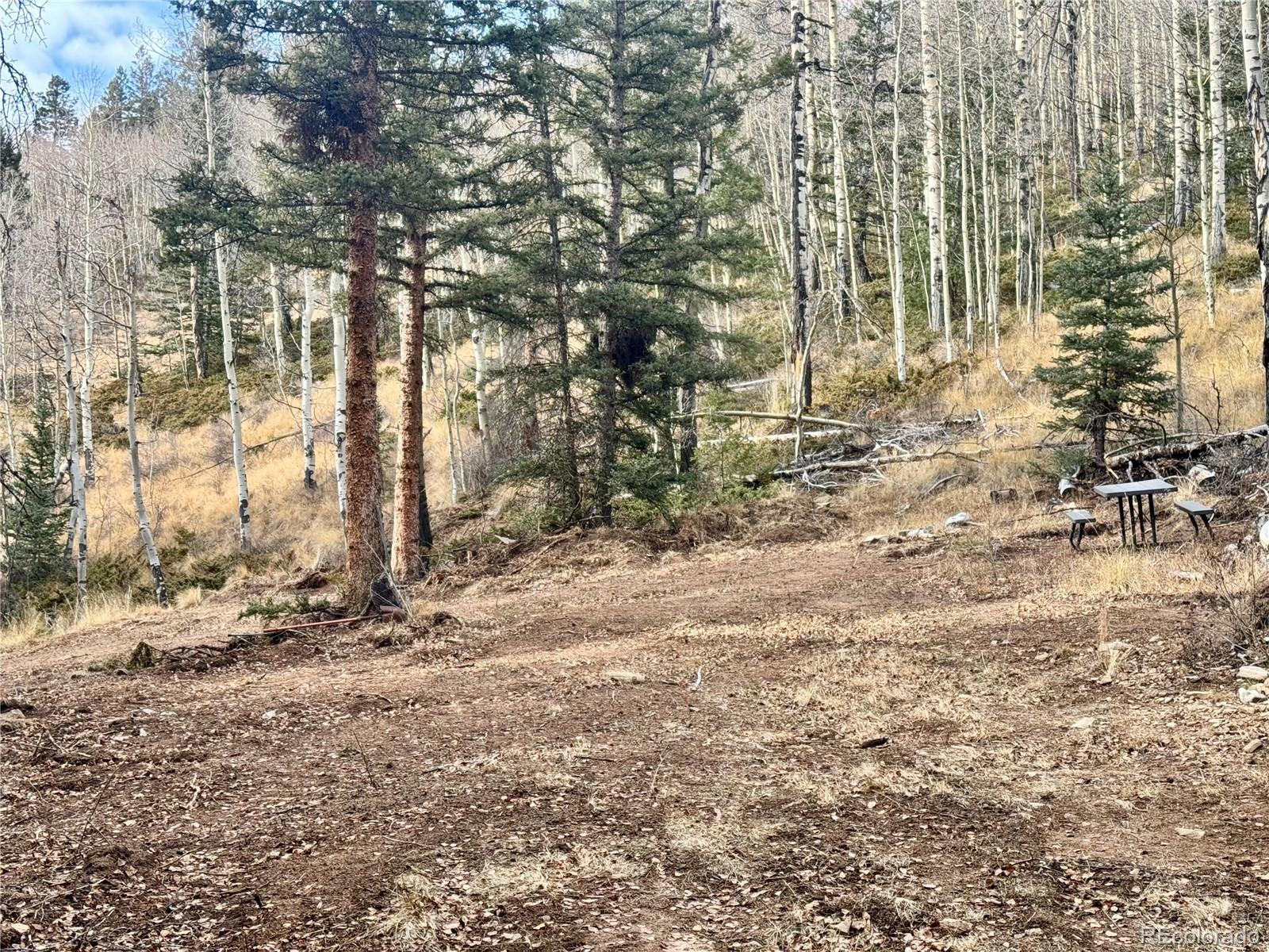 Ryland Road San Luis CO 81152