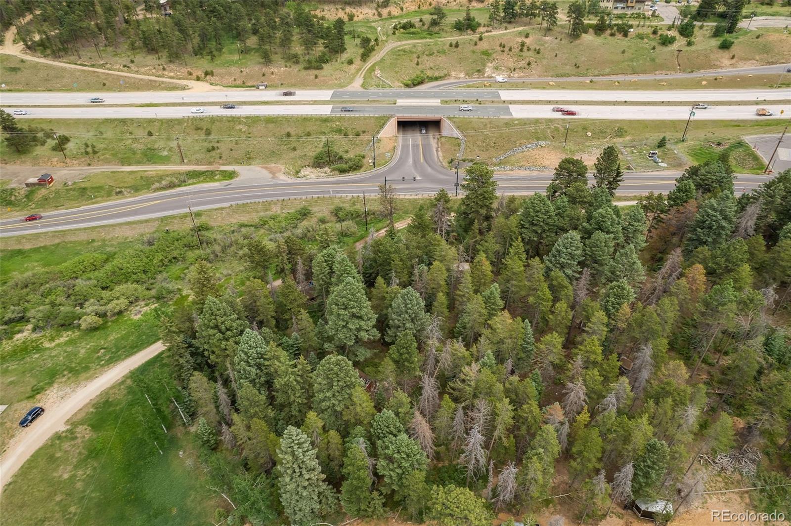 26824 Rascal Lane Conifer CO 80433