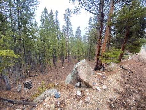 143 Juniper Drive Twin Lakes CO 81251