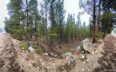 143 Juniper Drive Twin Lakes CO 81251