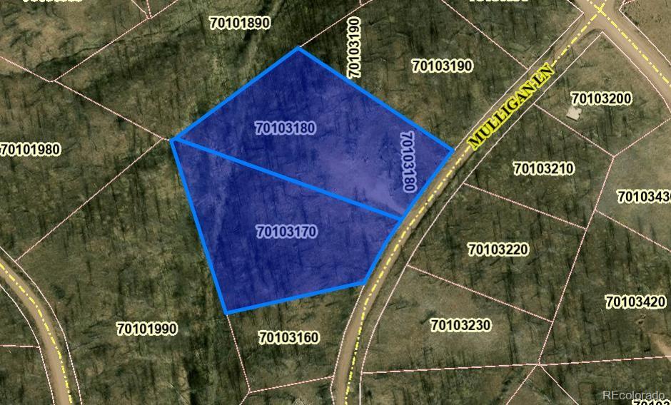 415-416 Mulligan Lane Fort Garland CO 81133