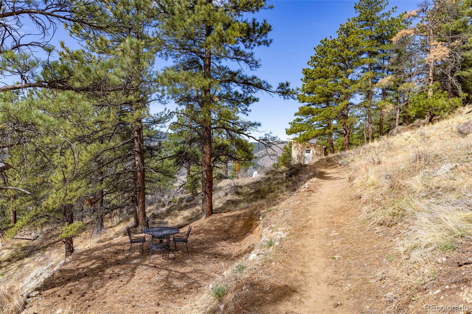 9316 Tawny Lynx Road Loveland CO 80538