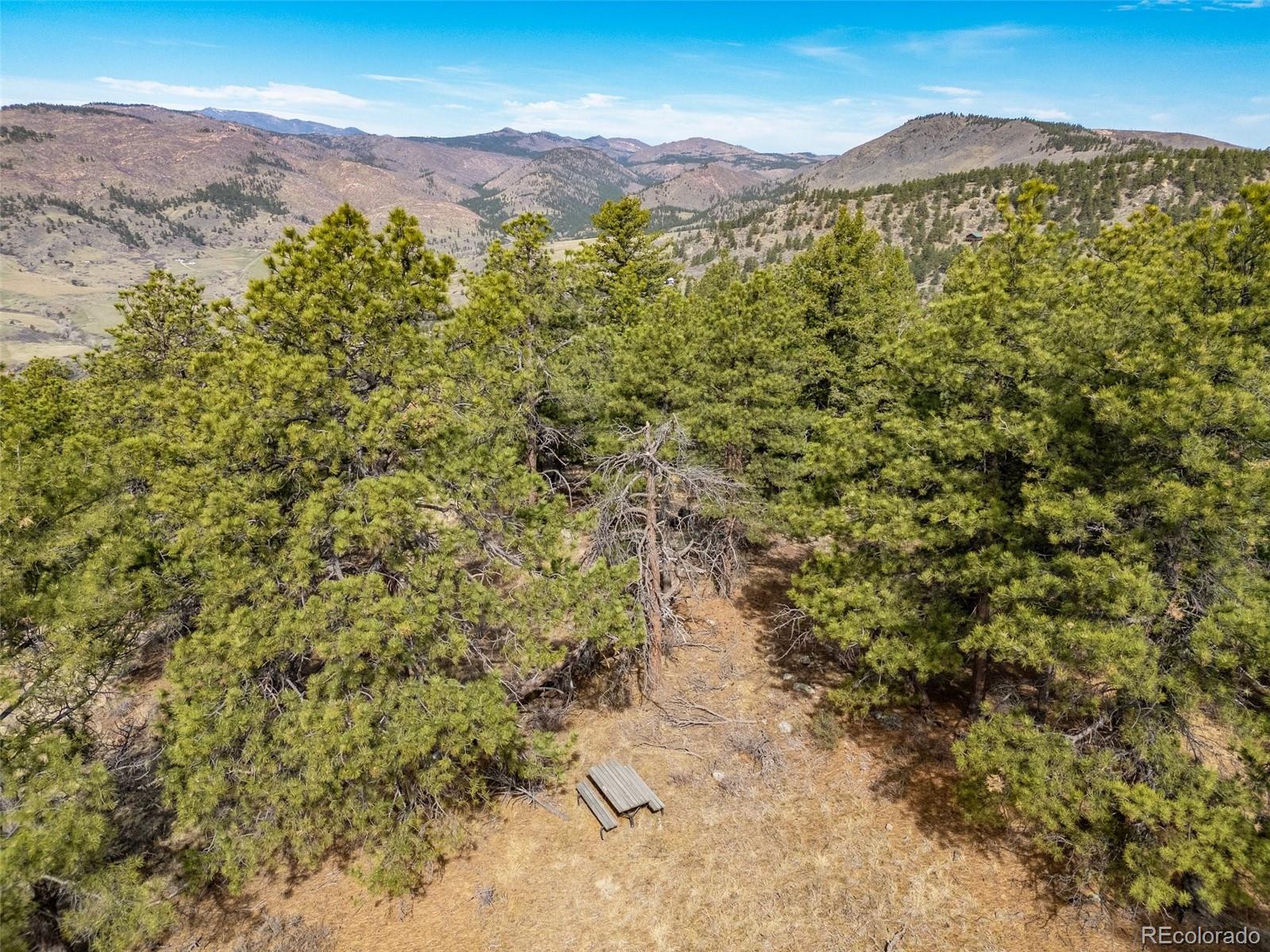 9316 Tawny Lynx Road Loveland CO 80538