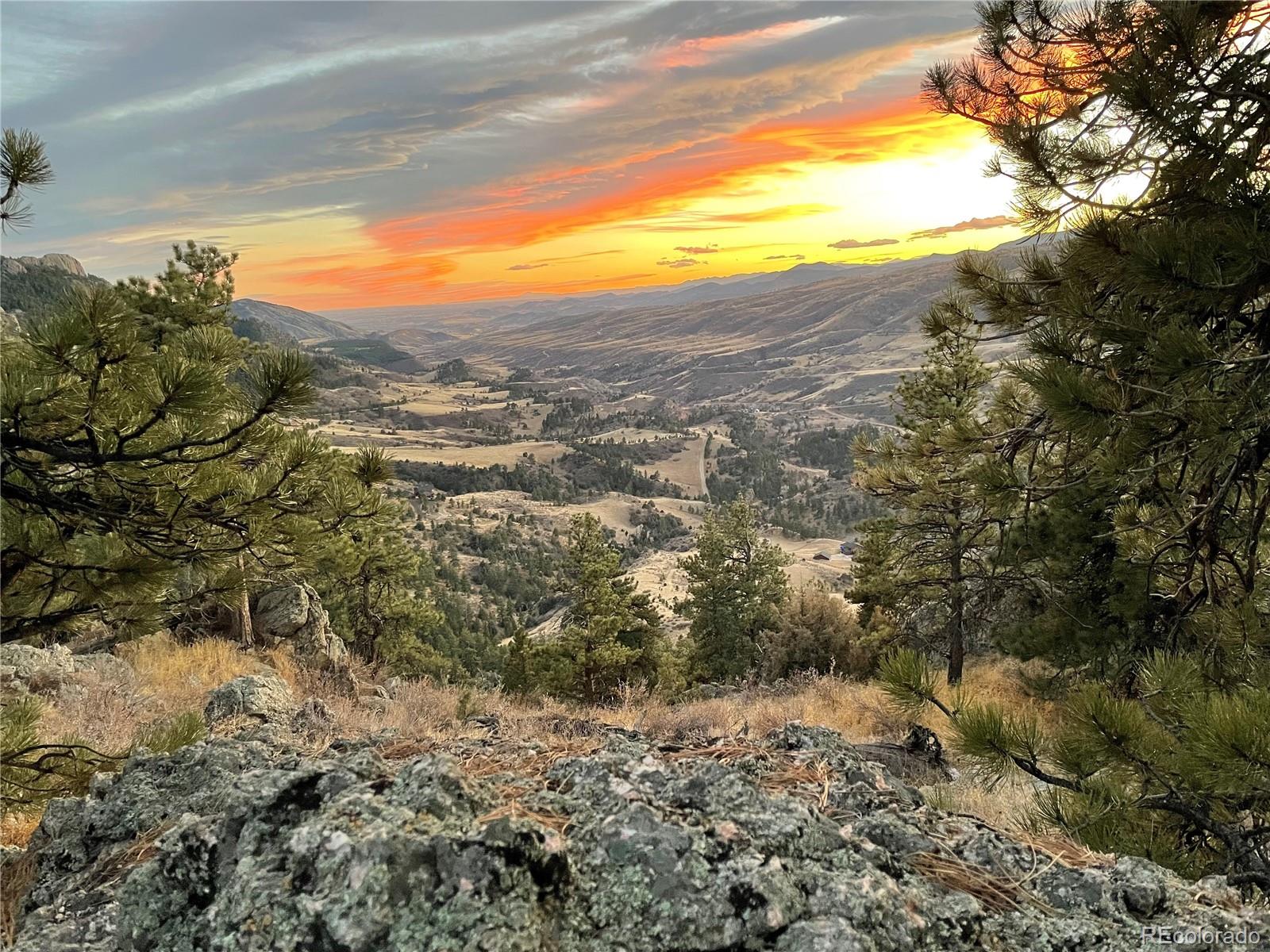 9316 Tawny Lynx Road Loveland CO 80538