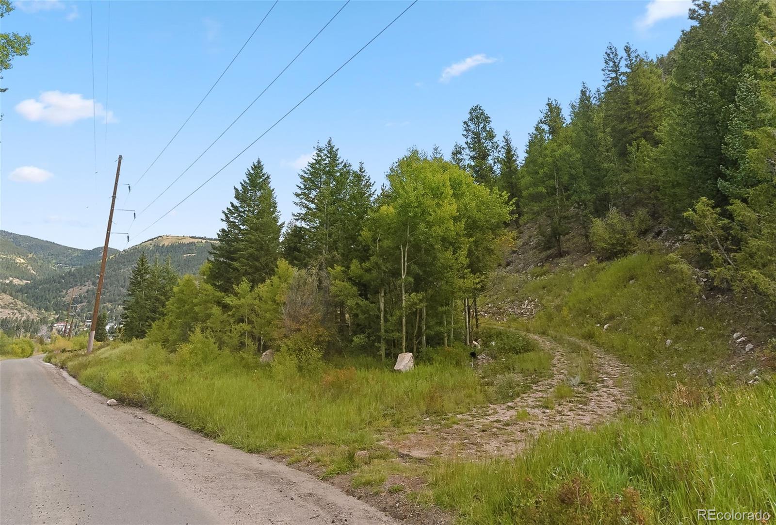0 Bard Creek Road Empire CO 80438