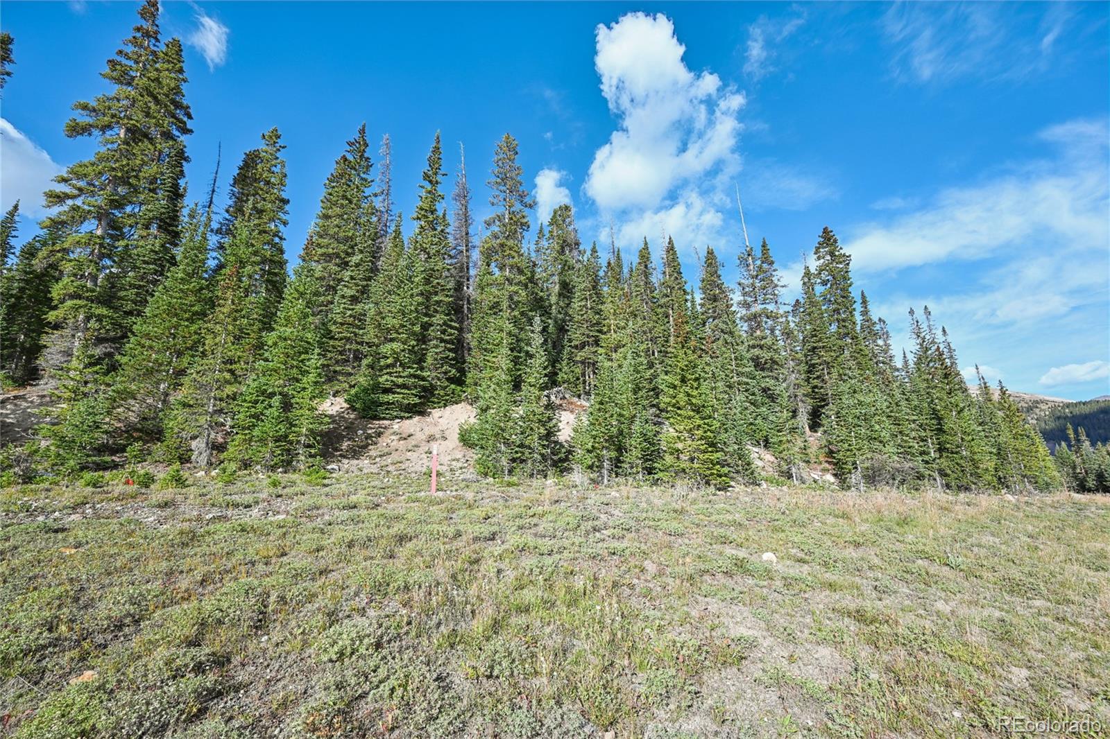 159 Hamilton Lane Breckenridge CO 80424