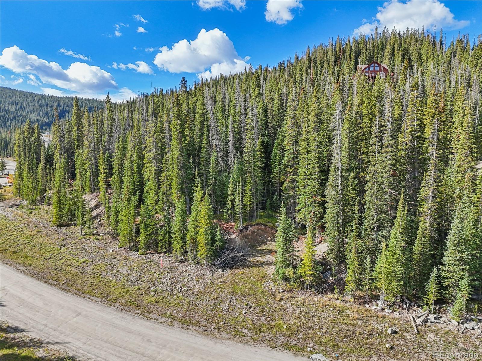 159 Hamilton Lane Breckenridge CO 80424