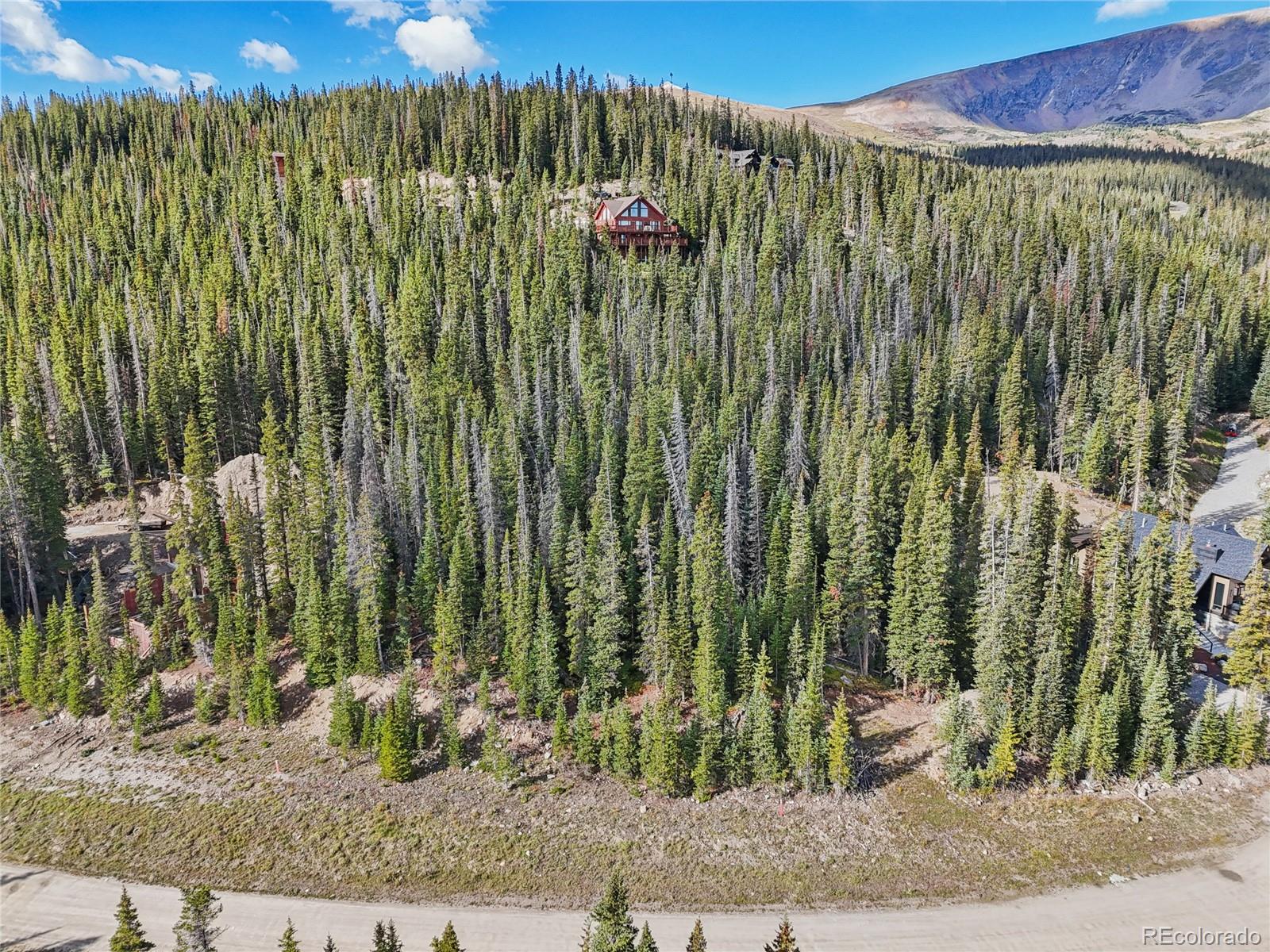 159 Hamilton Lane Breckenridge CO 80424