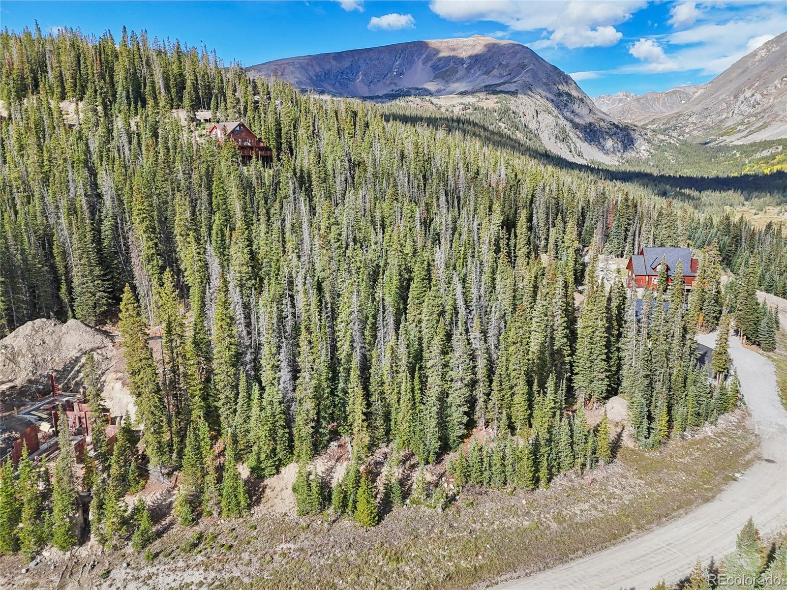 159 Hamilton Lane Breckenridge CO 80424