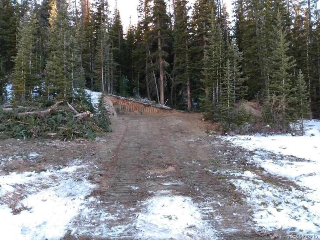 159 Hamilton Lane Breckenridge CO 80424