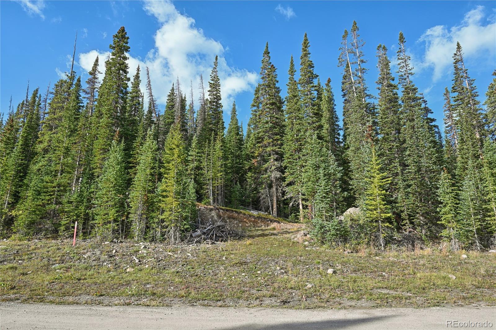 159 Hamilton Lane Breckenridge CO 80424