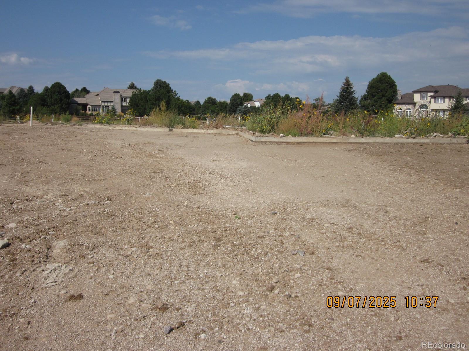 1507 White Fir Terrace Castle Rock CO 80108