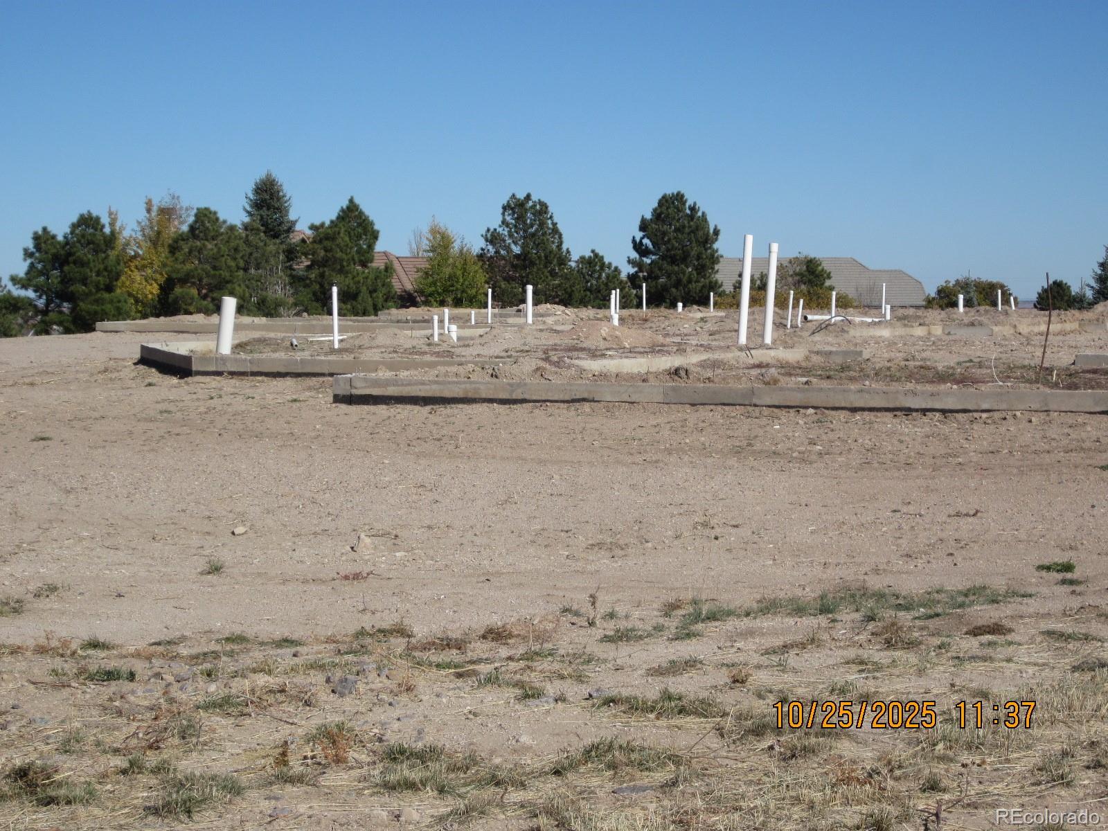 1507 White Fir Terrace Castle Rock CO 80108