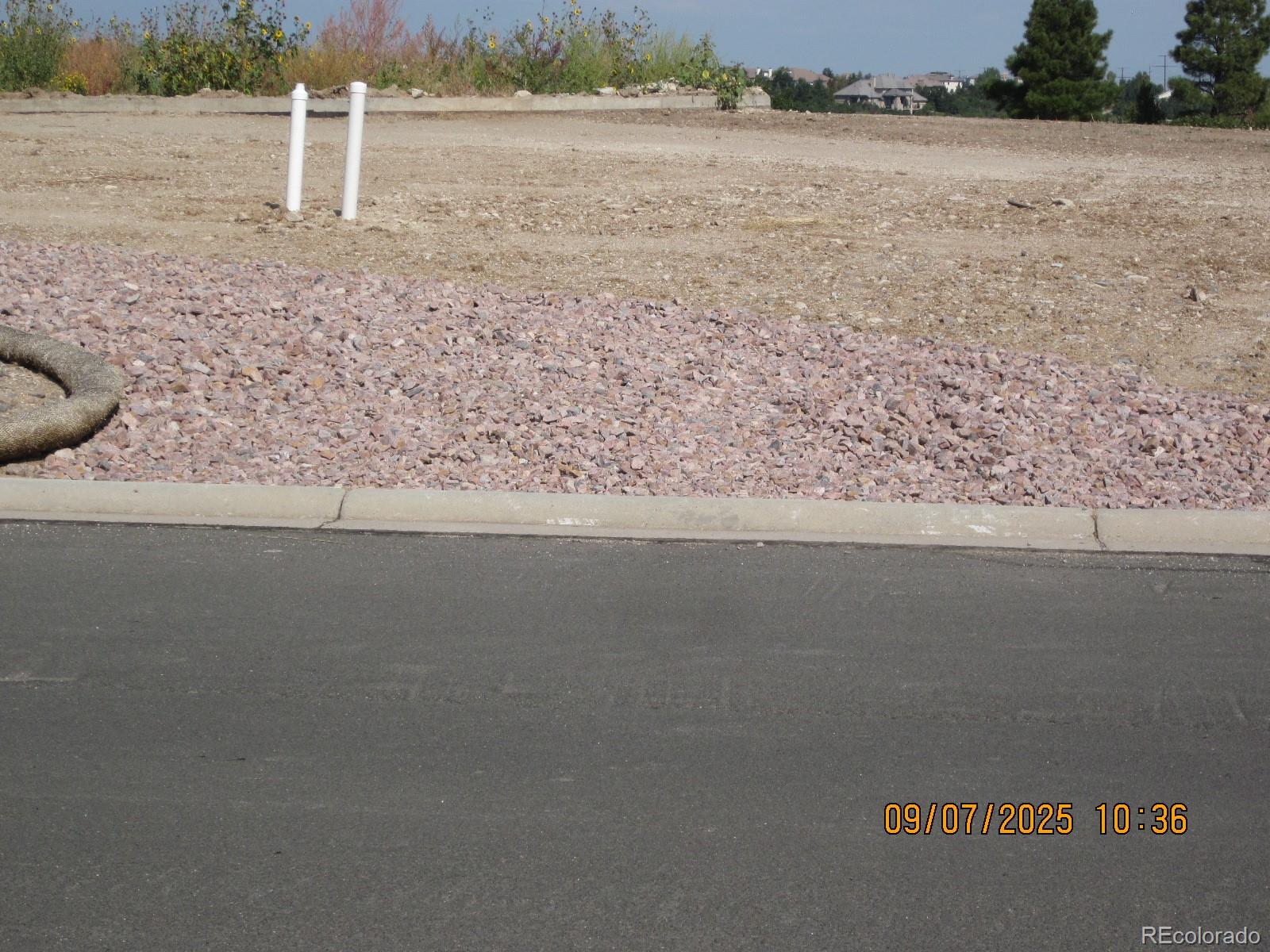 1507 White Fir Terrace Castle Rock CO 80108
