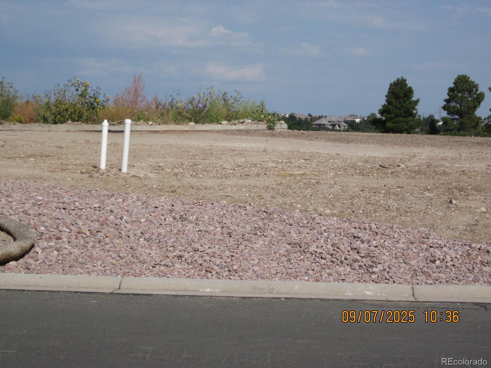 1507 White Fir Terrace Castle Rock CO 80108