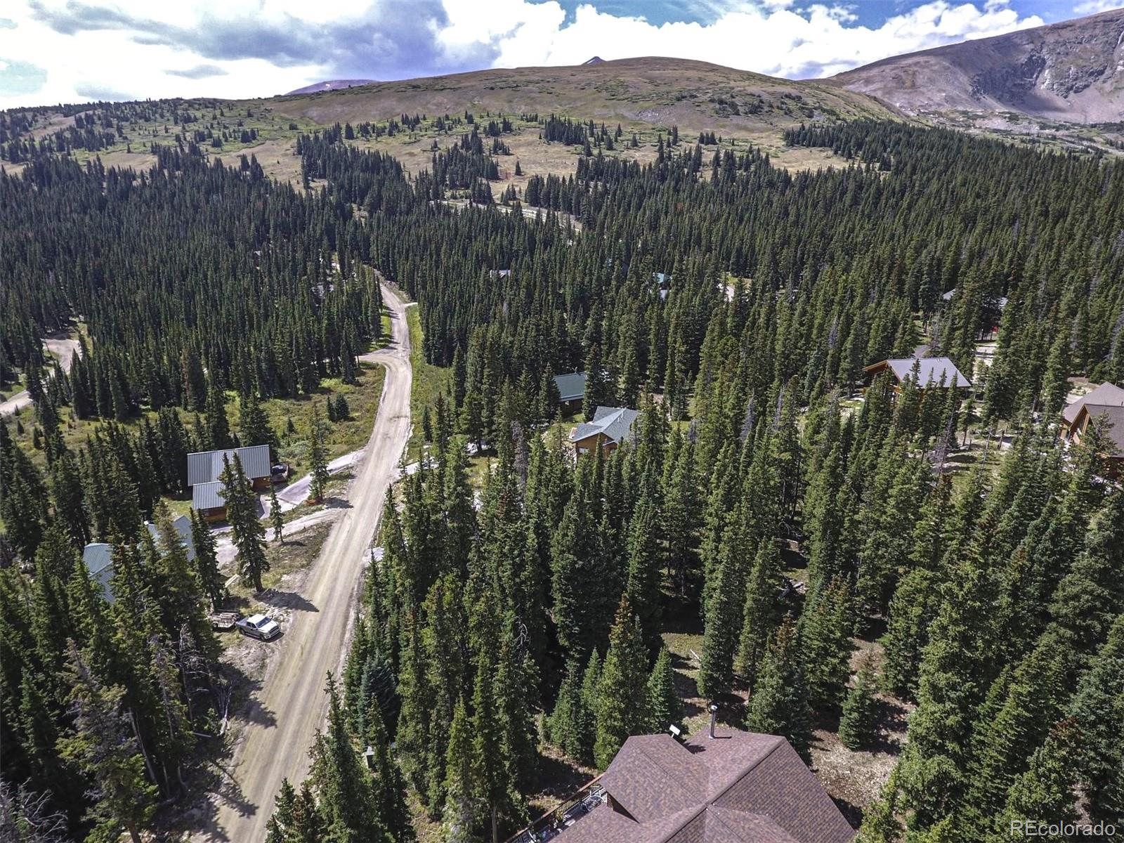 233 Camron Lane Breckenridge CO 80424