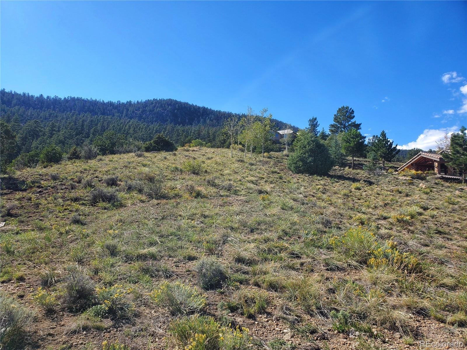 120 Fairway Ridge Lane South Fork CO 81154