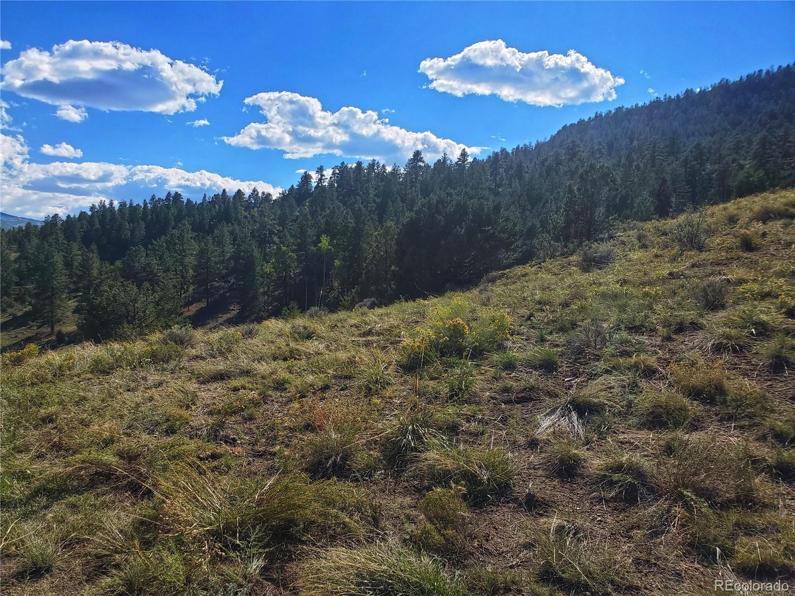 120 Fairway Ridge Lane South Fork CO 81154