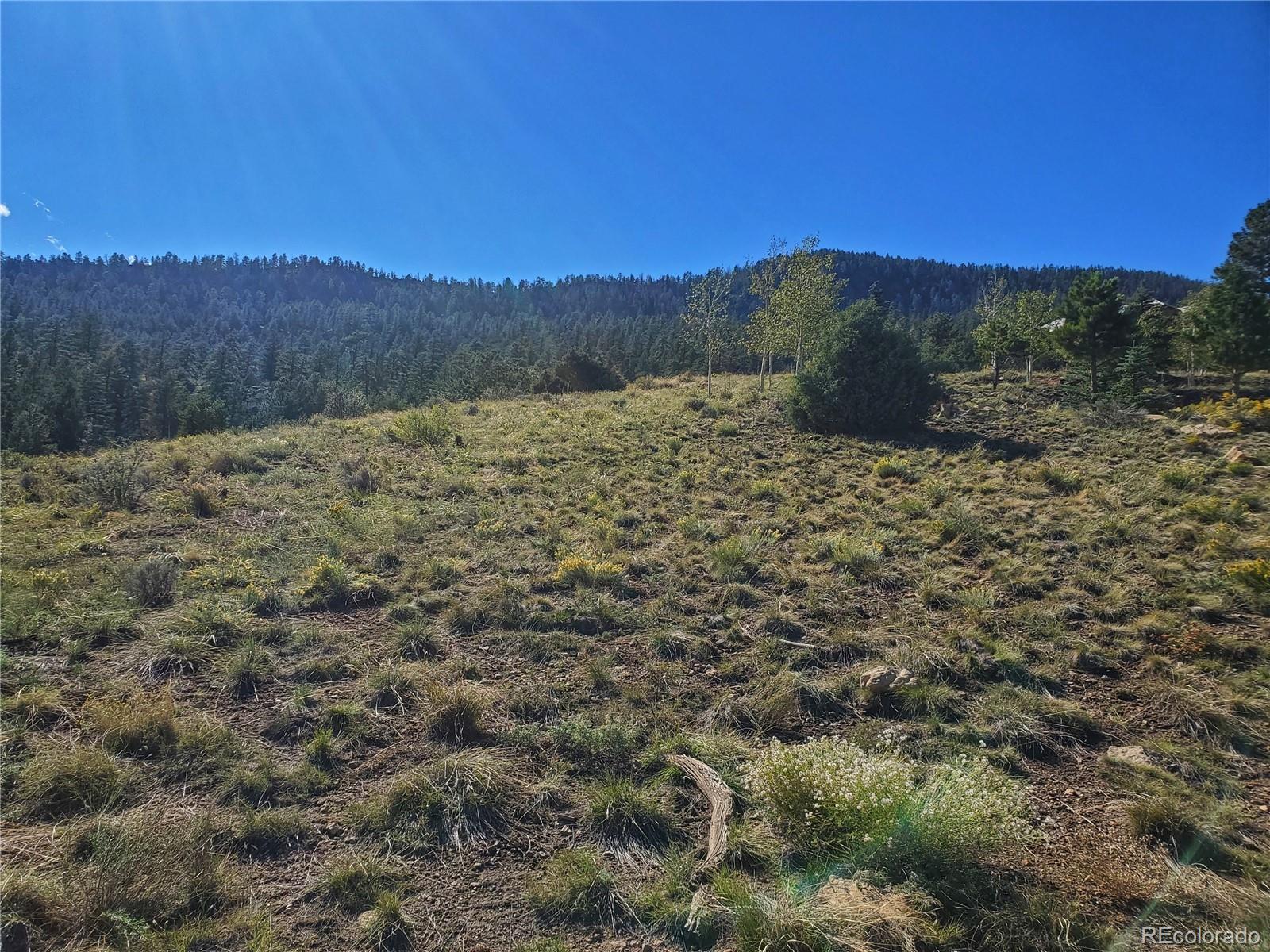 120 Fairway Ridge Lane South Fork CO 81154
