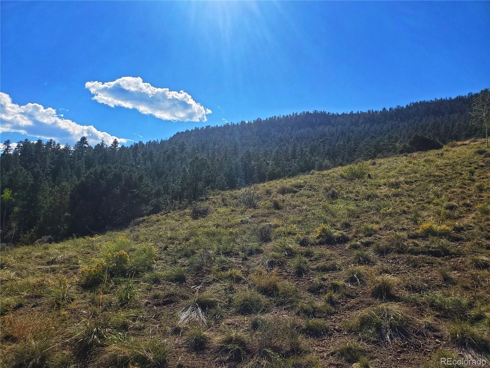 120 Fairway Ridge Lane South Fork CO 81154