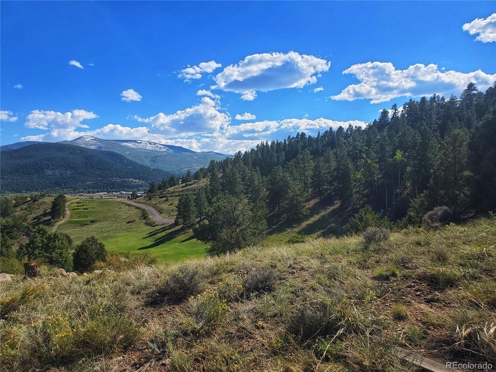 120 Fairway Ridge Lane South Fork CO 81154