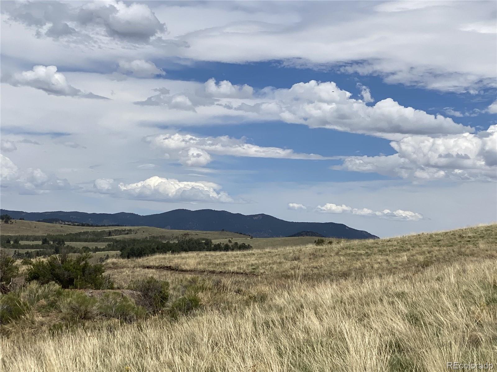County Road 341 Westcliffe CO 81252