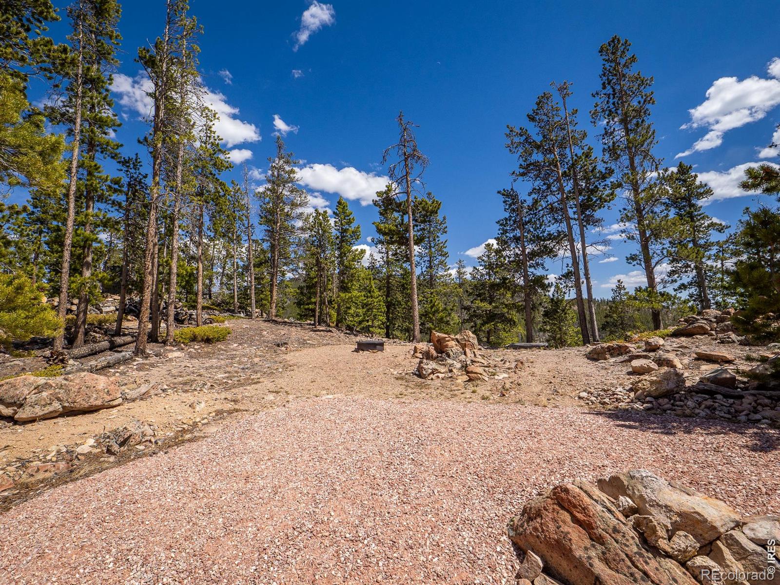 132 Dogrib Court Red Feather Lakes CO 80545