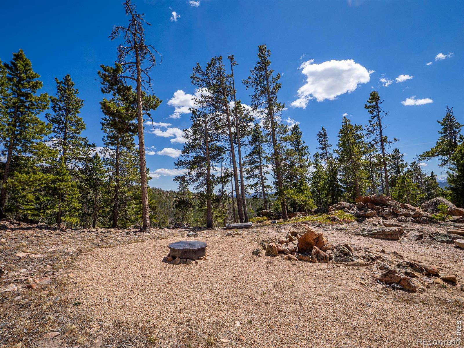132 Dogrib Court Red Feather Lakes CO 80545