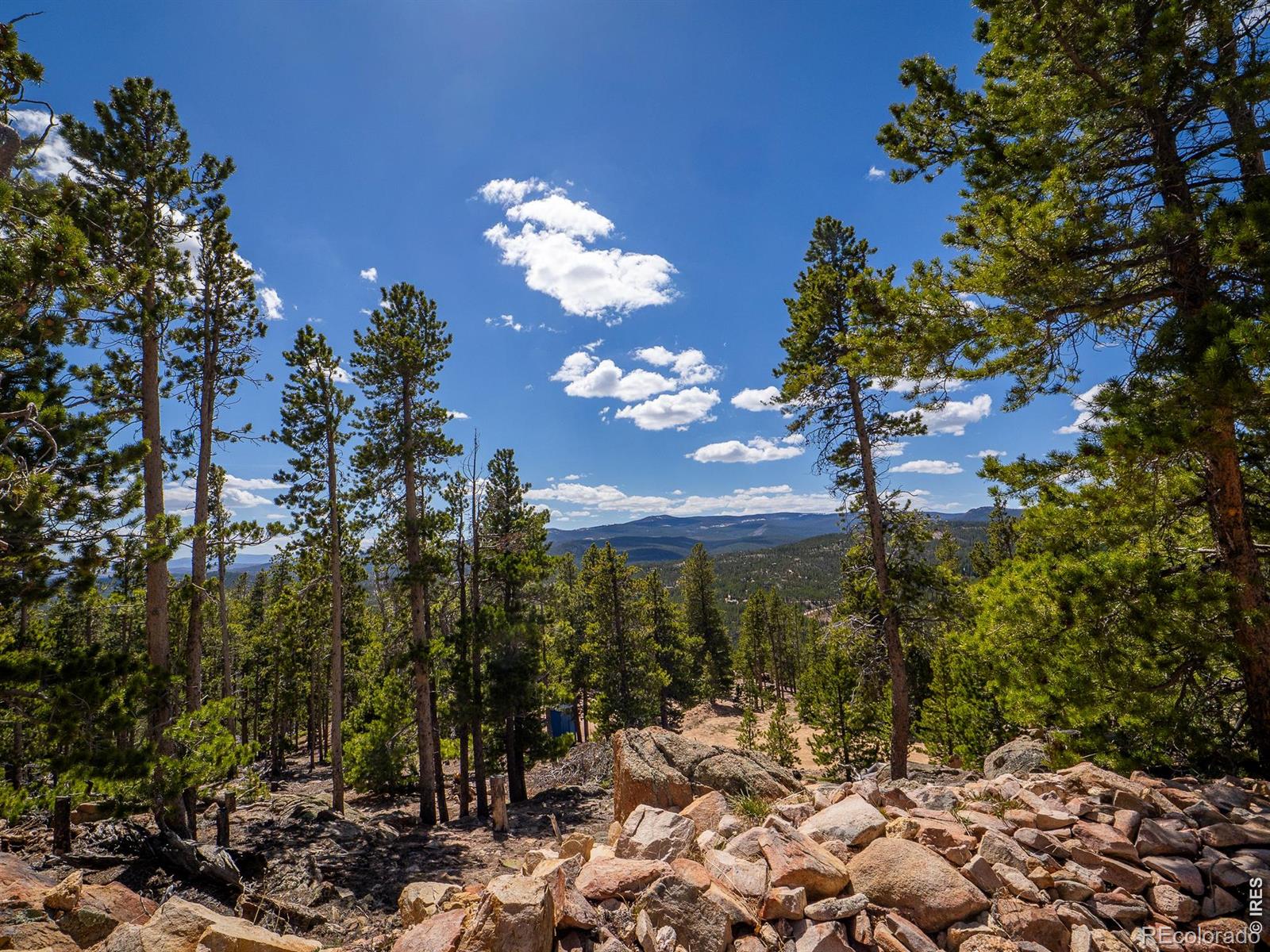132 Dogrib Court Red Feather Lakes CO 80545