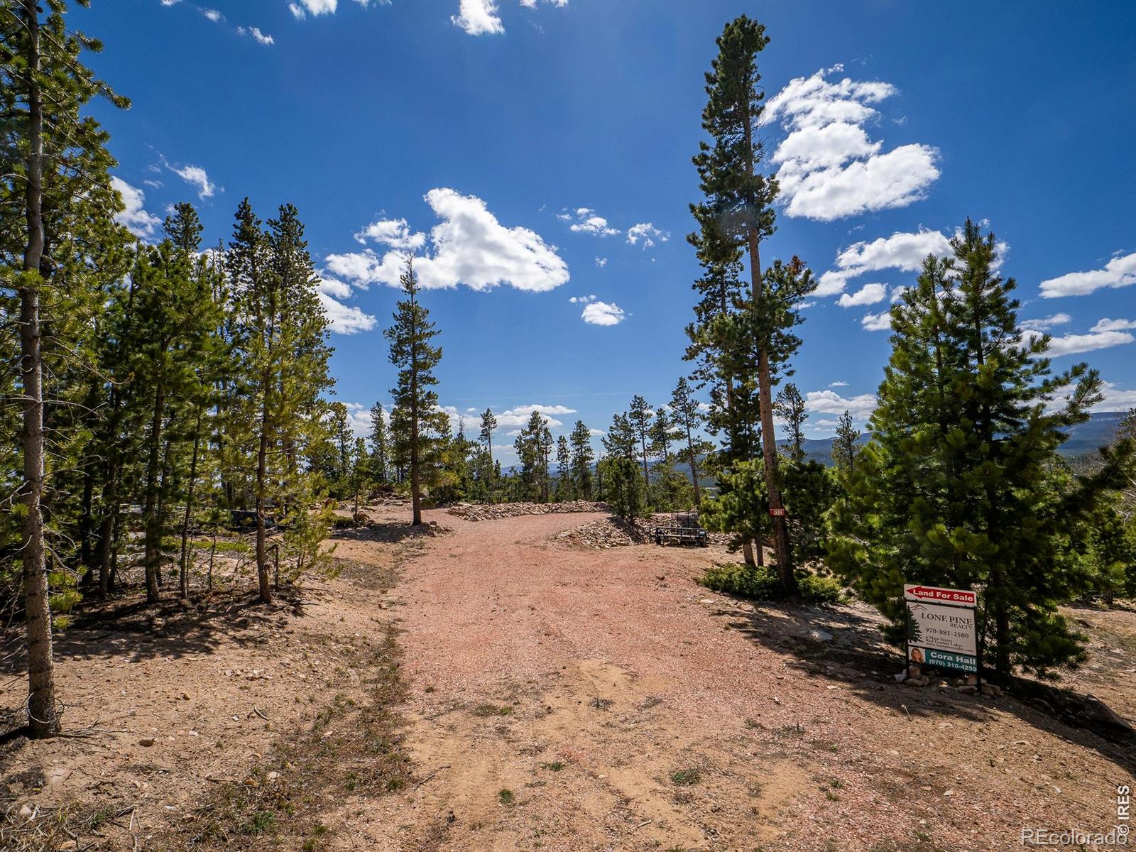132 Dogrib Court Red Feather Lakes CO 80545
