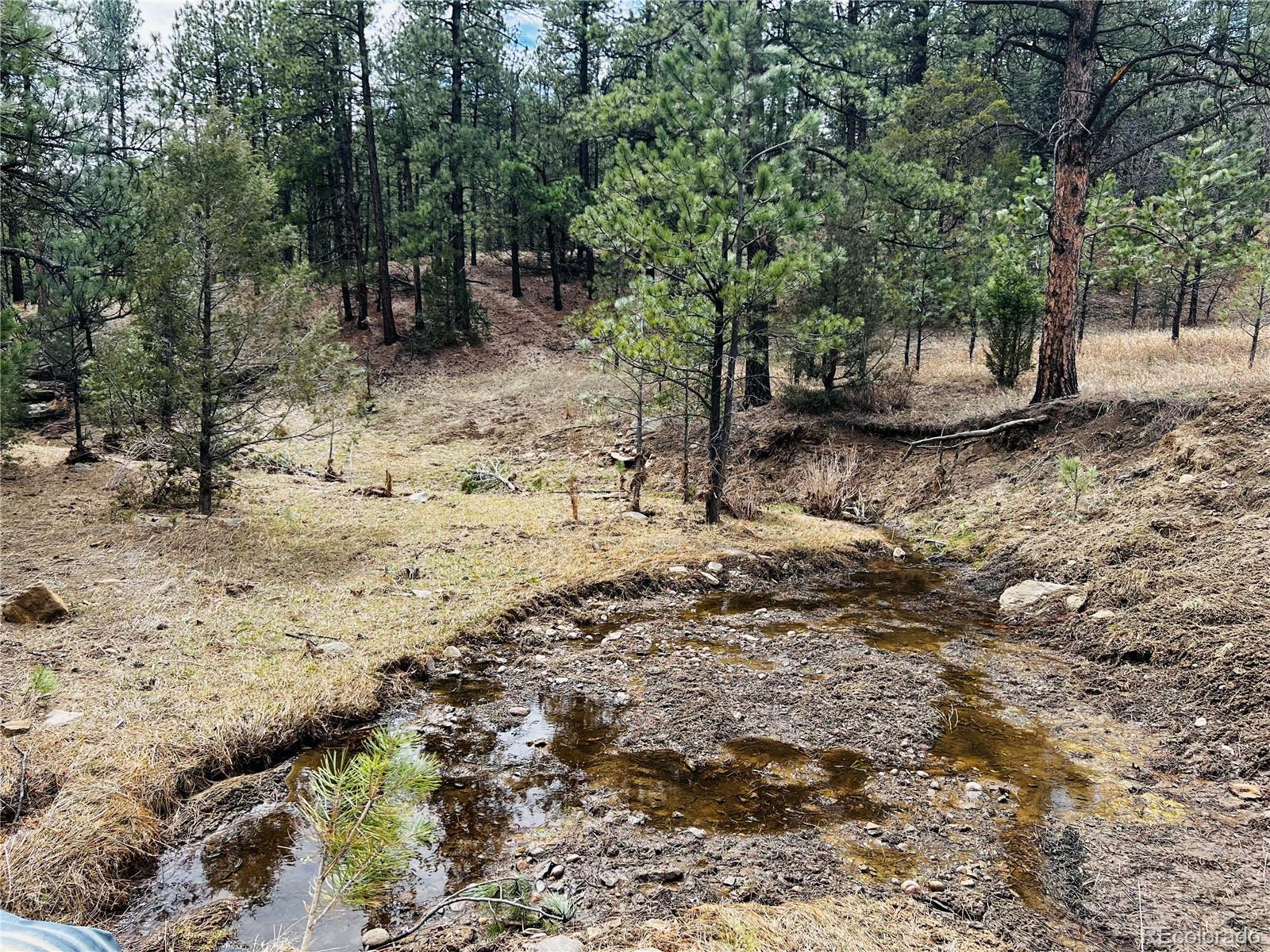 Lot 36 Logging Canyon Road Weston CO 81091