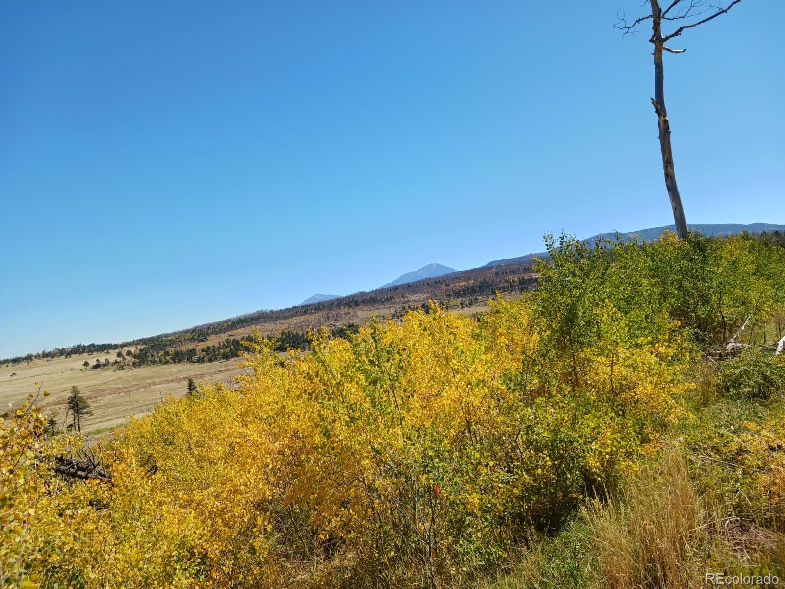 2067 Korlkoff Lane Fort Garland CO 81133