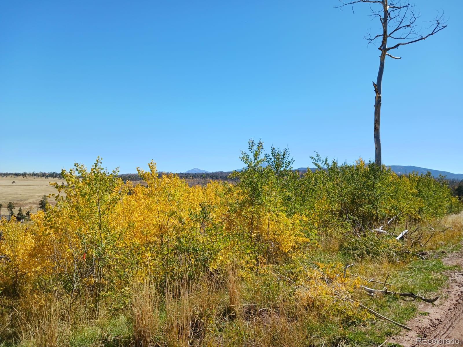 2067 Korlkoff Lane Fort Garland CO 81133