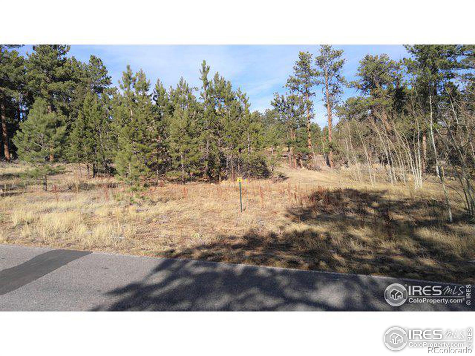 2 Fox Acres Drive W Red Feather Lakes CO 80545