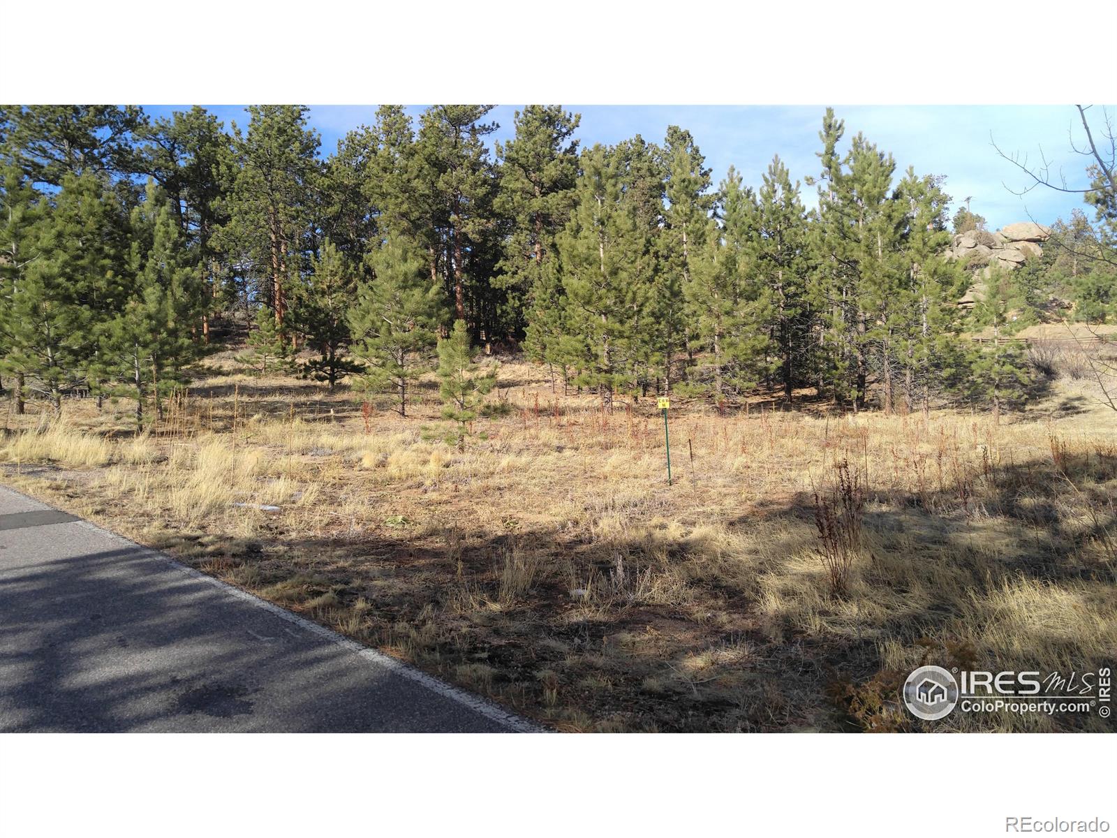 2 Fox Acres Drive W Red Feather Lakes CO 80545