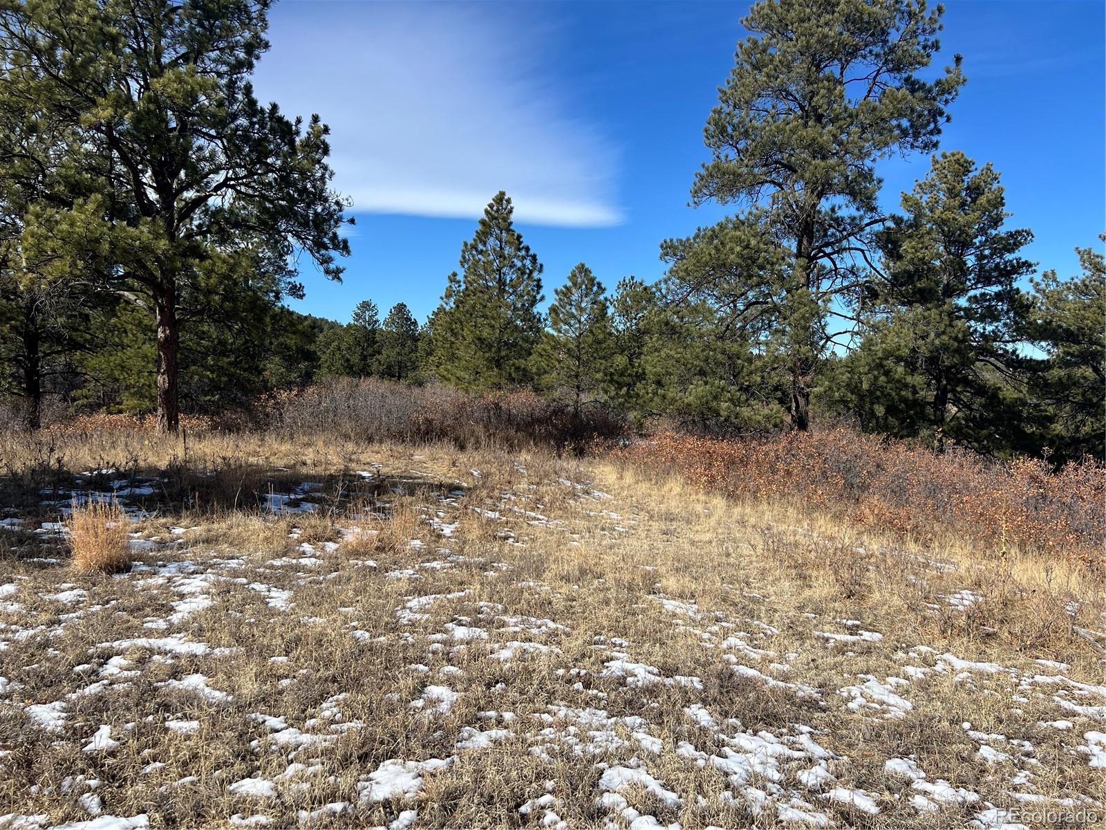 6764 Yampa Drive Larkspur CO 80118