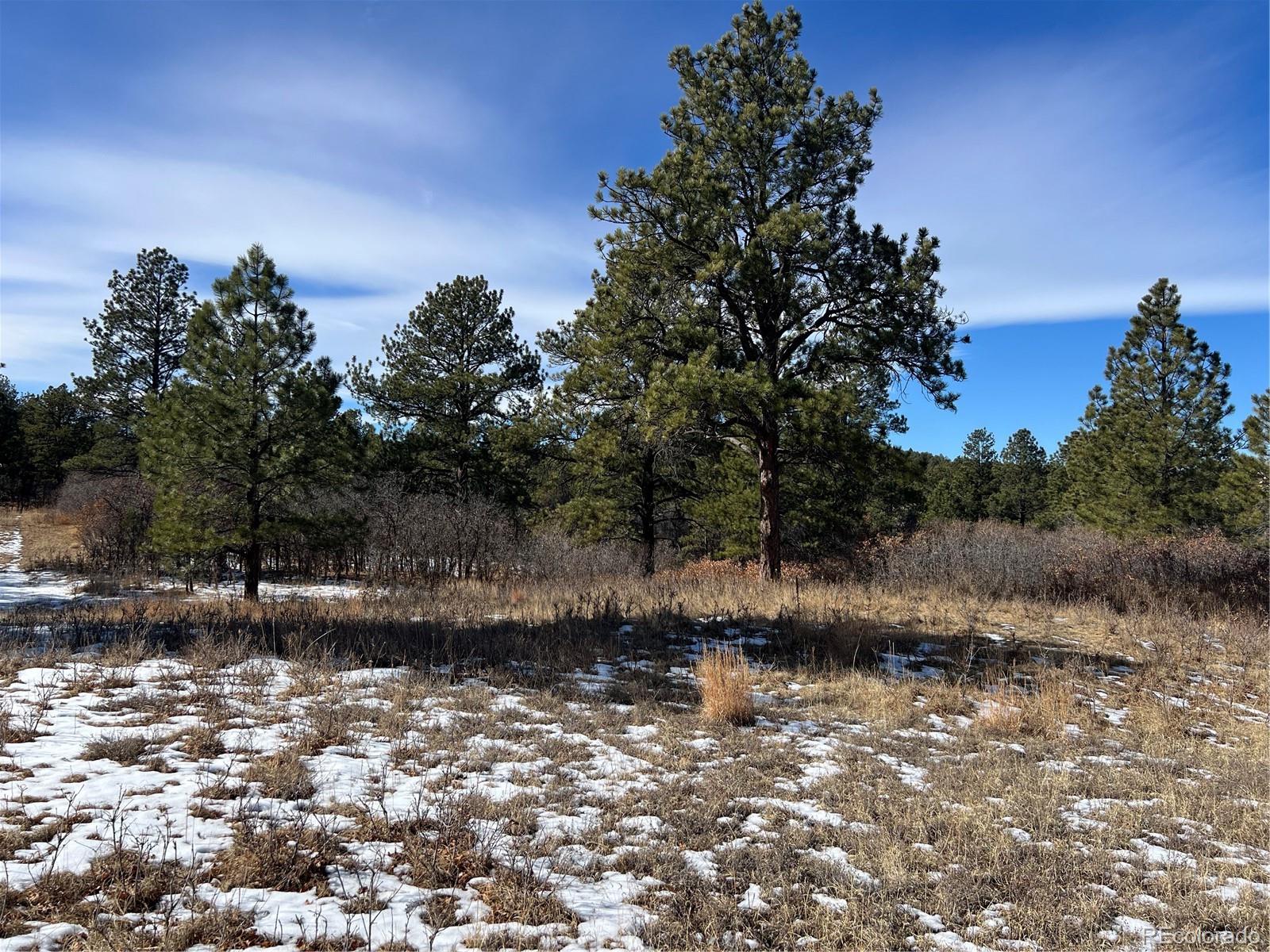 6764 Yampa Drive Larkspur CO 80118