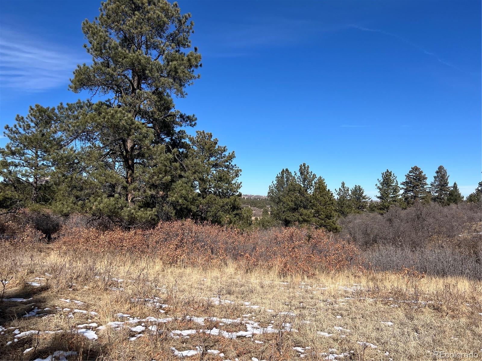 6764 Yampa Drive Larkspur CO 80118